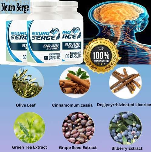 Neuro Serge Ingredients